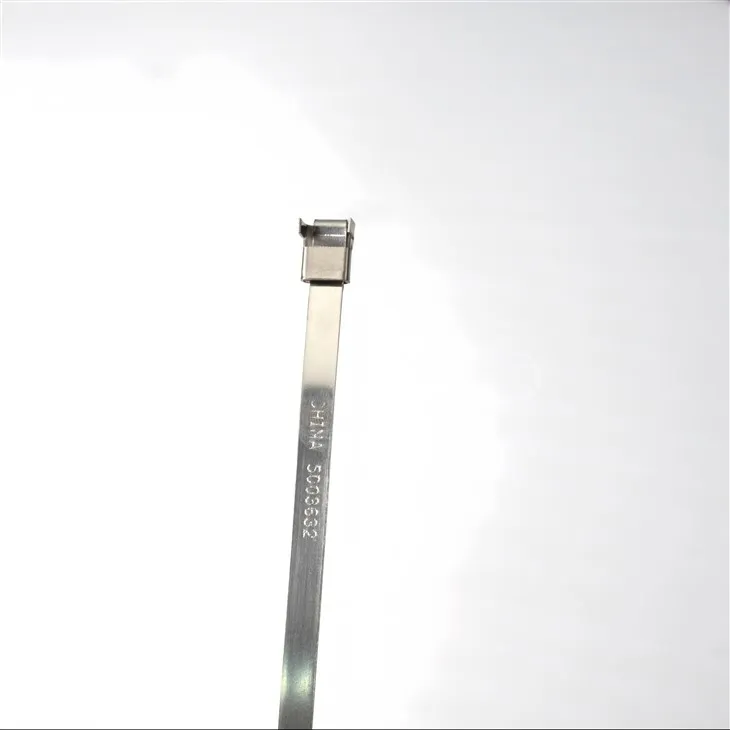 L Type Polyester Cable Tie